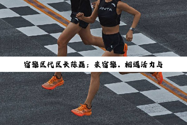 宿豫区代区长陈磊：来宿豫，相遇活力与美好
